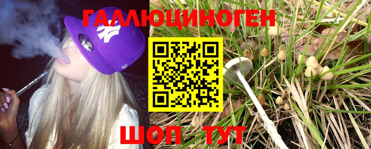 Псилоцибиновые грибы MAGIC MUSHROOMS  Псилоцибиновые грибы Magic Shrooms  Соликамск  Вход с VPN 